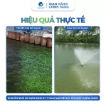 Đồng Sunfat CuSO4 - Phèn Xanh Diệt Nấm